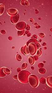 Vertical video - flowing red blood cells and particles background - Full HD and looping medical motion background animation.