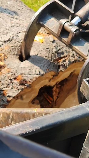 Who said operating was boring? #crane #log #humor #fy