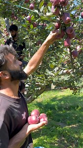 3.3K reactions · 142 shares | Phone number 9103203450 | Kvf Kulgam | Facebook