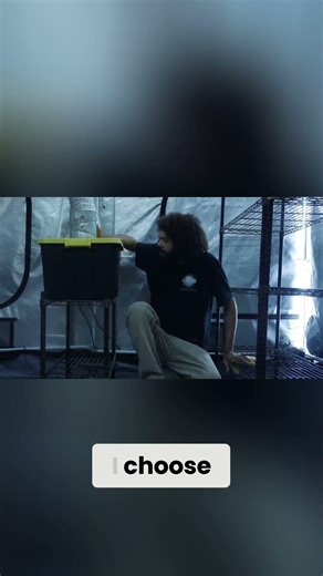 DIY Mushroom Grow Tent: Humidity System Secrets Revealed! #shorts