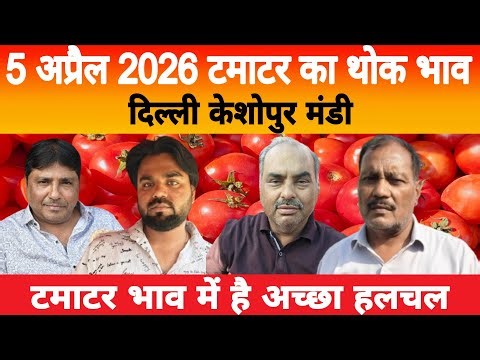 5 April 2026 Delhi 🍅 टमाटर होलसेल भाव | Keshopur Mandi | Today Tomato Rate #tamatar #tamatarmandi