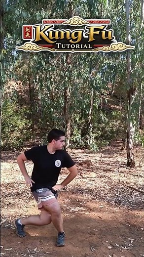 TURNED STANCE TUTORIAL - KUNG FU