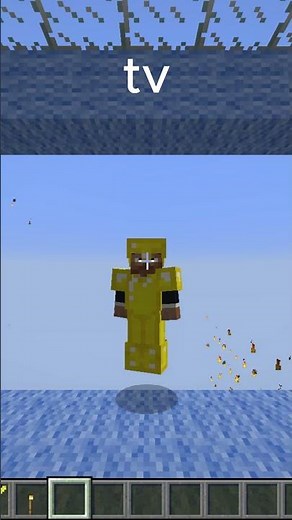 minecraft splitscreen type build #minecraft