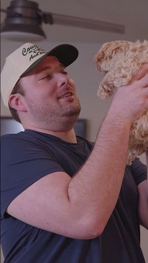 From Ohio to Texas: This Maltipoo Found His Forever Home | Premier Pups Reviews | Maltipoo Puppies