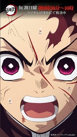 テレビアニメ「鬼滅の刃」シリーズ全編再放送中 竈門炭治郎立志編 第22話より⑥ #鬼滅の刃 #竈門炭治郎立志編