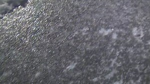 Nearly 100,000 Without Power, Fallen Trees and Power Lines Snarl Traffic Amid Chicago-Area Ice Storm