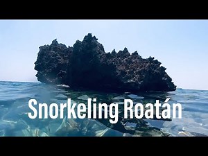 Snorkeling Roatán in Honduras - Half Moon Bay - West End and West Bay