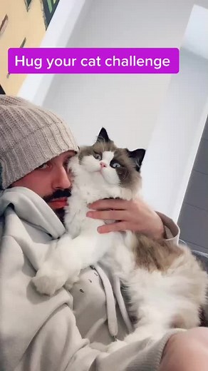 totorothefunnycat on TikTok