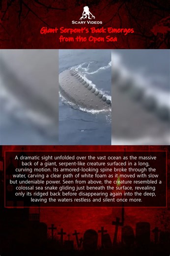 📰 Giant Serpent’s Back Emerges from the Open Sea A dramatic sight unfolded over the vast ocean as the massive back of a giant, serpent-like creature surfaced in a long, curving motion. Its armored-looking spine broke through the water, carving a clear path of white foam as it moved with slow but undeniable power. Seen from above, the creature resembled a colossal sea snake gliding just beneath the surface, revealing only its ridged back before disappearing again into the deep, leaving the water