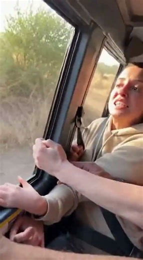 Tiger Leaps Into Safari Jeep Through Open Window | Raw Phone Footage