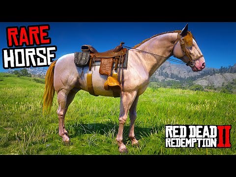 3 Rare Andalusian Horses (Location & Rankings) - RDR 2