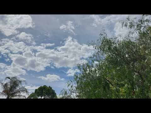 Let's Play Vanilla BATTLETECH Ep. 11 #battletech #btech #gaming #live