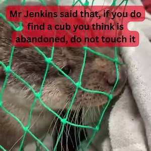 Head down to Cwmbran Shopping Centre outside Argos today, where the Marrow for Marley team are holding a swabbimng event. Marley Nicholls is a six-year-old who needs a life saving bone marrow transplant. His mum Shandy explains more in our video below. It couldn't be easier, so if you have a spare five minutes, get down there today! | South Wales Argus