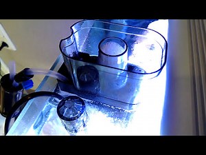 Tunze comline 9001 DOC Skimmer #reef #aquarium