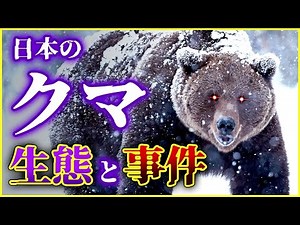 【ゆっくり解説】日本に生息するクマと恐怖の事件を解説！/ヒグマに粘着された男たちの末路!?/凶暴性が低いツキノワグマが人を襲った理由とは!?