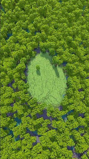 Minecraft Seed With a Plains BIome SURROUNDED By a Mangrove Swamp!