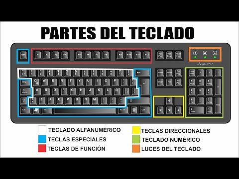 EL TECLADO Y SUS PARTES