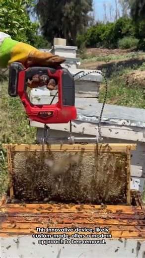 Vibrating Bees Off Hives: A Modern Beekeeping Tool