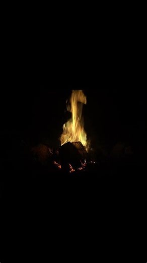Summer Night Sounds 🔥 Crickets + Fire (Relaxing ASMR Short) #relax #peacefulwaves #sleep