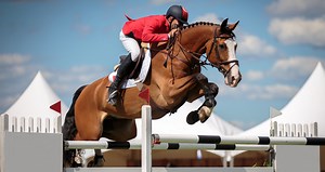 Hipismo Clássico - Salto, um esporte inigualável, onde a harmonia do conjunto faz a diferança!