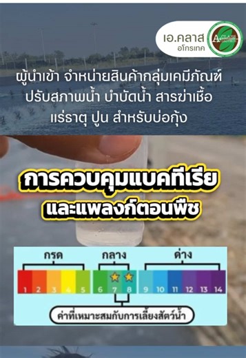 การตรวจวัดค่า pH เป็นประจำจะสามารถทำให้เราสามารถปรับสภาพน้ำให้ได้ตามที่เราต้องการ #นพดลเอคลาส #วิตามินซี #เลี้ยงกุ้ง #บ้านแพ้ว #CapCut
