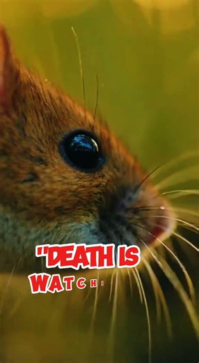 Nature’s Stealthiest Predator! 🐍🐭 #Shorts