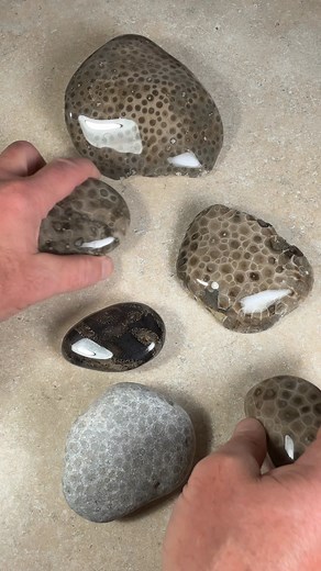 Kate from Katydid Rocks is auctioning off six of my rocks and also other rocks from your favorite YouTube Rock channels. Here is the link to the live auction which will take place at 5 p.m. Mountain time Sunday, Nov. 30, 2025: https://www.youtube.com/live/KnY-ZjyLv9g This is the GeoGirls Camp: https://www.mshinstitute.org/geogirls #heartforrocks25 | Michigan Rocks