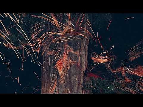 Treehugger Trailer