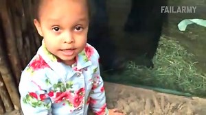 The Ultimate Funny Monkey Compilation || Monkey Fails by FailArmy