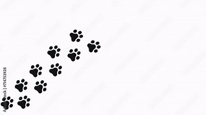 Trail of paw prints on alpha channel background. Black canine silhouettes of footprints. Steps tracing the canine path. Journey of the dog paw prints.