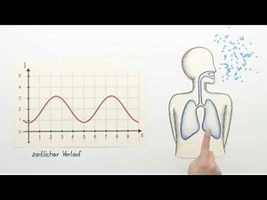 PERIODISCHE VORGÄNGE BESCHREIBEN | Mathematik | Funktionen