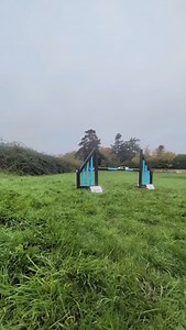 Dog's POV: 👀 I think we rarely appreciate agility from our dogs' point of view... What do they see? Remembering they have no idea where the course goes... Doing everything at full speed. Dogs are amazing! 😍🙌🏼 | Insight Dogs