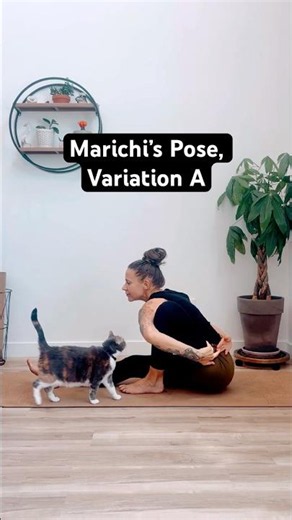 Marichi’s Pose, Sanskrit Marichyasana #yogini #mobility #flexibility #hathayoga #strongwomen ￼