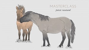 4.6K views · 84 reactions | Du kannst die MASTERCLASS für 4,90 Euro einen Monat testen. Du erhältst einen vollen Zugang, kannst sofort die Aufzeichnungen aller Themenabende sehen und bist auch beim "Pferde-Winter" am 02. Januar 2021 live (per Zoom) dabei. Ich freue mich auf dich! Anmeldung: https://Marc-Lubetzki.de/Masterclass-Wild-Horses [Werbung in eigener Sache] | Marc Lubetzki WILD Horses | Facebook