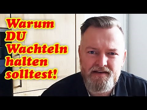 Why YOU SHOULD keep quail! Quail keeping for beginners - Are quail better than chickens?