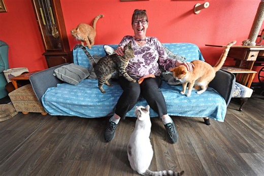 Unique Wolverhampton cat cafe welcomes customers to meet furry friends after a series of challenges - here's what to expect