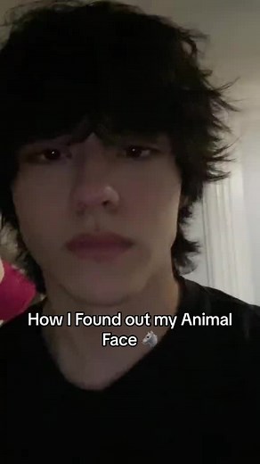 I’m a wolf🐺 @BRM #animalfaceapp #AnimalFace #aiapp #fyp