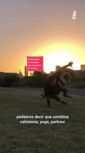👀 ¿De qué se trata ANIMAL FLOW? 💪🎬 @antopunzino te lo cuenta TODO en este video ☝️⏰ Esta disciplina física busca despertar el humano-animal que tenemos adentro… se puede decir que combina calistenia, yoga, parkour, breakdance y capoeira 🐒🤔 ¿Cómo trabaja? ¿Quién puede practicarlo? ¿Dónde se lleva a cabo? ¿Qué beneficios tiene? 🔎▶️ ¡Dale play a este video! Y si queres conocer mas sobre la disciplina, en @reijiflow (IG) @santyisola (IG) (Líder Regional de Animal Flow) te cuenta toda la data. 