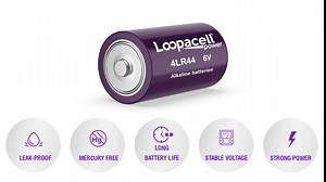 10 Pack 4LR44 / PX28A / L1325 / A544 / K28A / 476A 6V Alkaline Batteries for Dog Shock/Training Collars by Loopacell, 5 Count (Pack of 2)