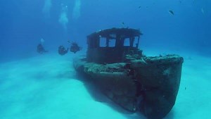 Last chance to get 25% off a Specialty eLearning course when you purchase a PADI eLearning core course (Open Water, Advanced Open Water or Rescue Diver course)! What are you waiting for? Shop now: http://padi.co/5xbff | PADI