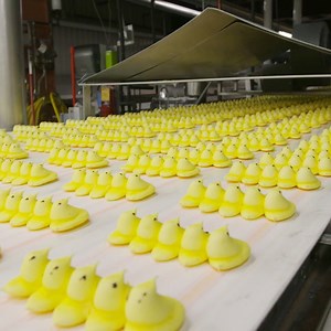 So THIS is how PEEPS are made... http://dlsh.it/Coh1Oqi | Delish
