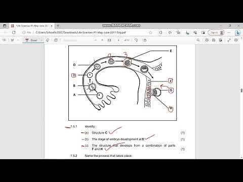 Grade 12|| Life Sciences revision past question paper