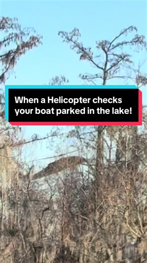 Duckman Taxidermy (@duckman985)’s videos with original sound - Duckman Taxidermy