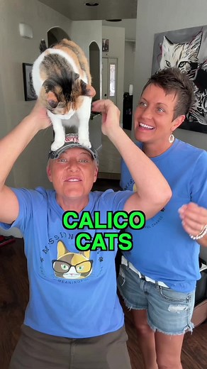 Facts About Calico Cats: Why They're Considered Lucky