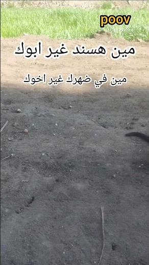 اغاني محمد البصلي #محمد_البصيلي #اكسبلور
