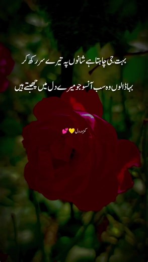 Exploring Mohabbat and Ishq Through Bewaffa Poetry