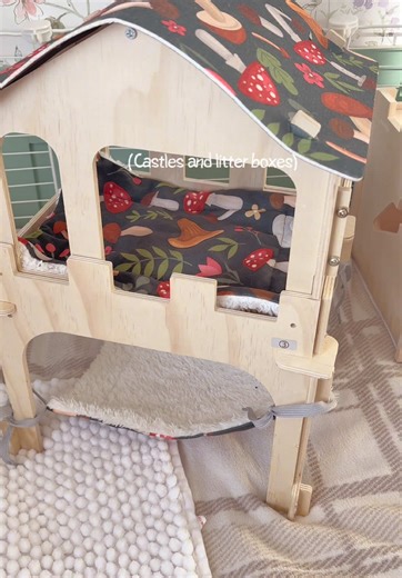 Guinea Pig Cage Setup: Kavee Pets 5x2 Clear Cage