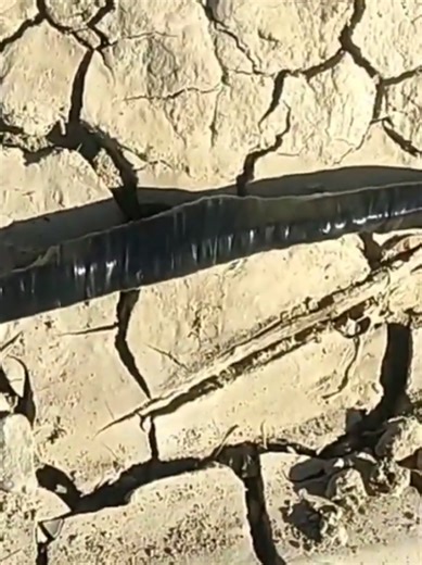 How to Properly Connect Aluminium Cables ⚡ #AluminiumCable #ElectricalConnections #ElectricianTips #IndustrialElectrical #CableTermination