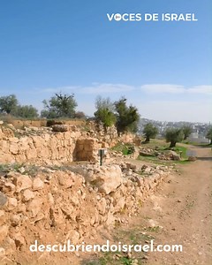 Ubicado en la colina occidental de Hebrón, el montículo arqueológico conocido como Tel Hebrón es uno de los asentamientos humanos más antiguos de la región y un punto de encuentro entre arqueología, tradición y fe. Sus milenarias capas están intrínsecamente ligadas a los relatos del Antiguo Testamento. El nombre hebreo de la ciudad, Ḥevrôn, deriva de la raíz ḥaḇēr, que significa "amigo" o "compañero", simbolizando vínculo, alianza y pacto. Esta connotación se refuerza porque fue en este lugar do