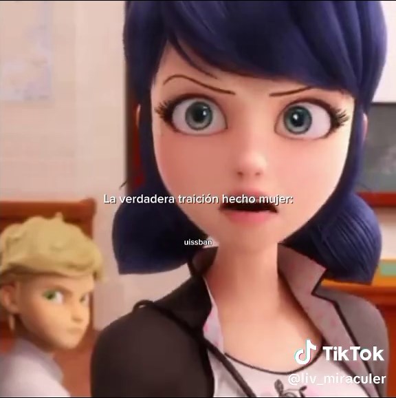 Lo Suspuestos Amigos de Marinette en Miraculous